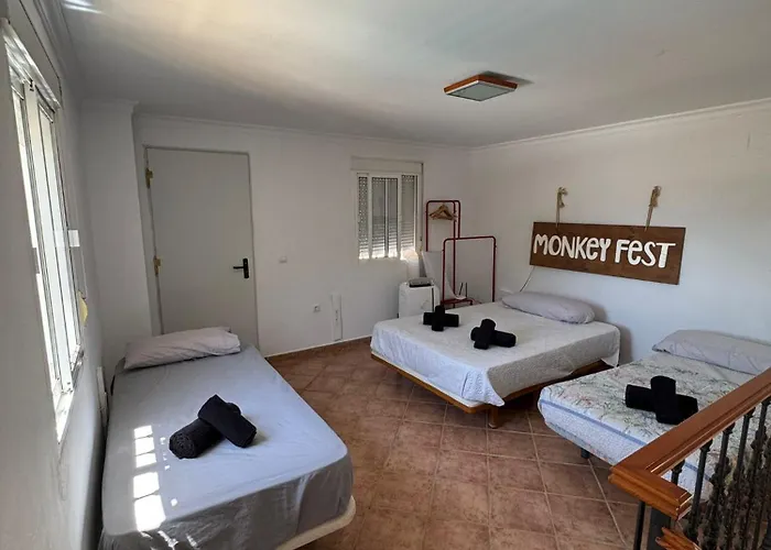 Entre Romero * Cádiz